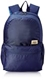 American Tourister Copa 23 Ltrs Blue Casual Backpack (FU9 (0) 01 001)