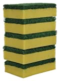 Brite Guard Polyester Multipurpose Scrub Sponge (Green, 30-Piece)