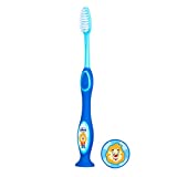 Chicco Toothbrush (Assorted colors)
