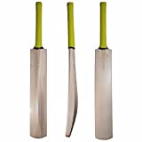 CW Popular Tennis Ball Kashmiri Willow Short Handle Light Weight Cricket Bat