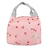 Designeez Portable Insulated Canvas Lunch Bag Thermal Food Picnic Lunch Bags for Women Kids Men Cooler Lunch Box Bag Tote