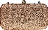 Tooba Women's Clutch (Chini_Rose Gold)