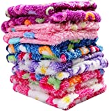 N G Products Handkerchief for Women, Girls, Kids Soft Towel with Love, Flowers Multicolor (Pack of 10)