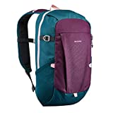 Quechua NH100 Hiking Backpack 20 litres