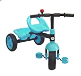 SUNBABY Delta Tricycle With Storage Basket Pedal Cycle For Baby,1-3 Years (Blue)