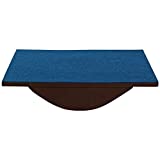 UB PHYSIO SOLUTIONS Exercise Therapy Balance Board (Blue)