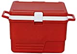 Vroxy Durable Heavy Material Plastic Ice Cube Storage Box | Insulated Ice Box | Food Storage Box (Random Colour) - 25 Litter