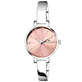 SWISSTONE Analogue Women's Watch (Pink Dial SIlver Colored Strap)