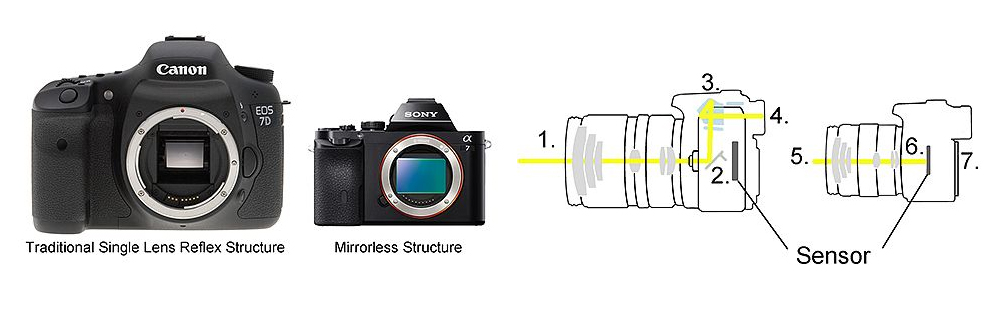 DSLR or Mirror-Less Cameras: Which is The Better Pick?