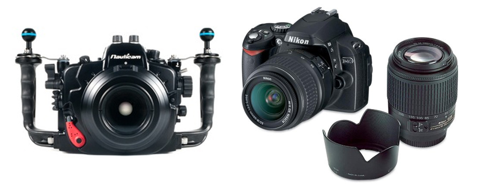 DSLR or Mirror-Less Cameras: Which is The Better Pick?